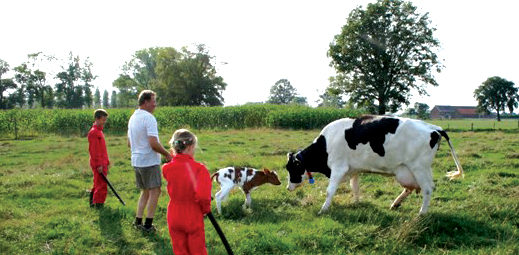 De Nysenhoeve